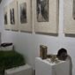Exhibitions